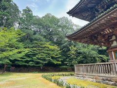 -醍醐寺