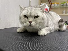 -宠颐生动物医院·小陆分院