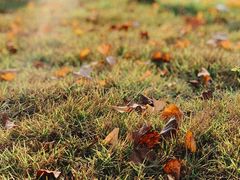 -杭州城北体育公园