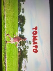 -小熊维尼高端儿童摄影(南山店)