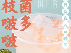 荔枝波波益菌多-半仙豆夫(安东老街店)