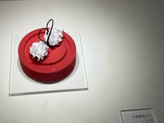 -罗红摄影艺术馆