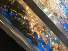 -盒马鲜生(莱蒙都会店)