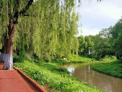 -黛秀湖公园