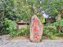 -野象谷景区