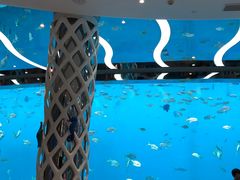 -瑞德姆美人鱼海底演艺主题餐厅(亚龙湾店)