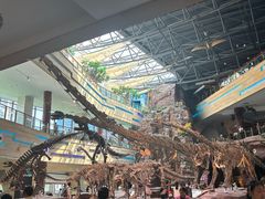 -安徽省地质博物馆