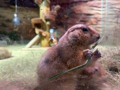 -正佳雨林生态植物园