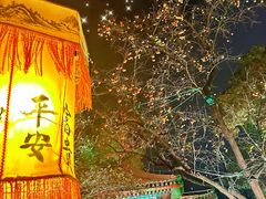 -白家大院·王府宫廷菜(苏州街店)