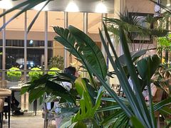 -大书房咖啡(中传国交店)