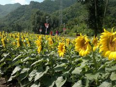 2013-09-06-515-百里山水画廊乌龙峡谷
