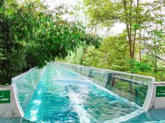 -花水湾第一村温泉大酒店