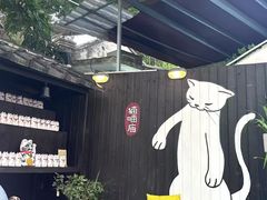 -是阿柴呀！柴犬咖啡·爱喵喵猫咖