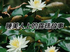 -范蠡湖公园