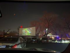 -枫花园汽车电影院(朝阳公园店)