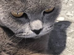 -NOTOOCAFE不二咖啡馆(岩前店)