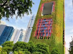 -豚骨王拉面(Orchid Hotel)