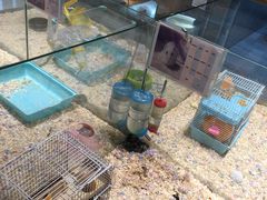 -悠尼宠物·独立低压伊珊娜洗护·美容·寄养(兰谷路店)