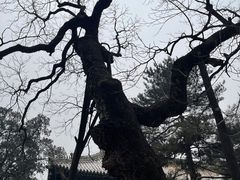 -潭柘寺景区