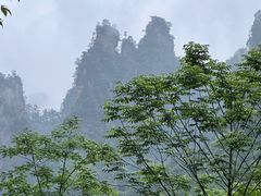 -颐而康·按摩·艾灸·足疗(南岸晶都店)