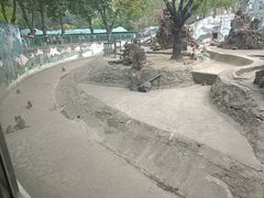 -成都动物园