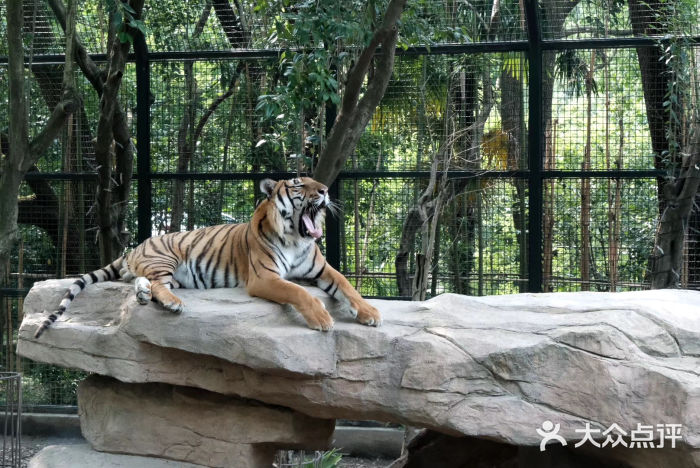 上海動物園圖片