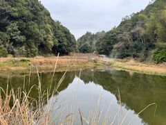 -天芳悦潭度假村温泉