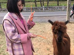 -大连铭湖国际观光牧场