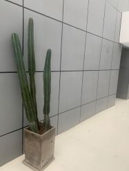 -无界瑜伽普拉提