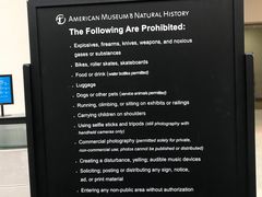 -美国自然历史博物馆