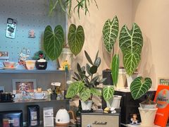 -Dogi&kiki Coffee(中心商务大厦店)