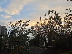 -甜阿姨·天台花园私房菜(万松园店)