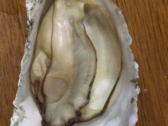 -新农都水产市场