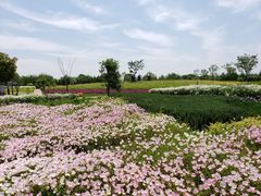 -同里国家湿地公园