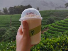 -白茶原·一片叶子