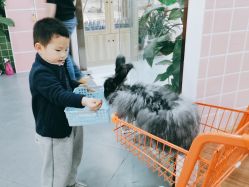 -Moni星球萌宠·小马宝莉·灵蛇·高端高阶全萌宠互动体验俱乐部(红豆国际广场店)