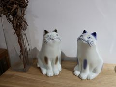 -猫里有甜