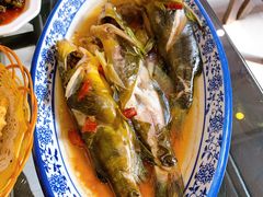 -老马家·舌尖上的西塘美食