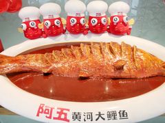 -阿五黄河大鲤鱼(英协路店)