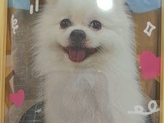 -美联众合动物医院·24h京西诊疗中心