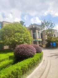 -涌泉妈咪树通乳·产后恢复