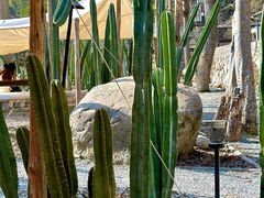 -MOJ coffee(瓯海泽雅水碓坑店)