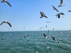 -大连海昌东方水城