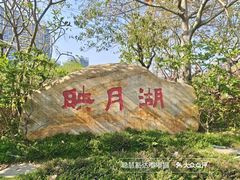 -映月湖公园