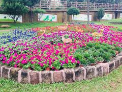 -广州莲花山旅游区