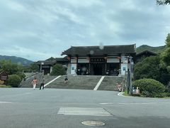 -大唐贡茶院