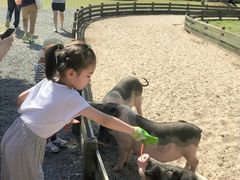 -前小桔亲子创意农场·草莓采摘·露营烧烤