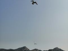 -海驴岛(荣成市)