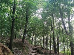 -神龙峡风景区