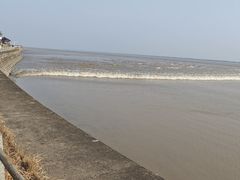 -观潮胜地公园